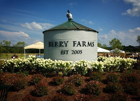 214 Old Peytonsville Road Franklin, TN 37064 - Photo 36 of 42 a front view of a house with a yard