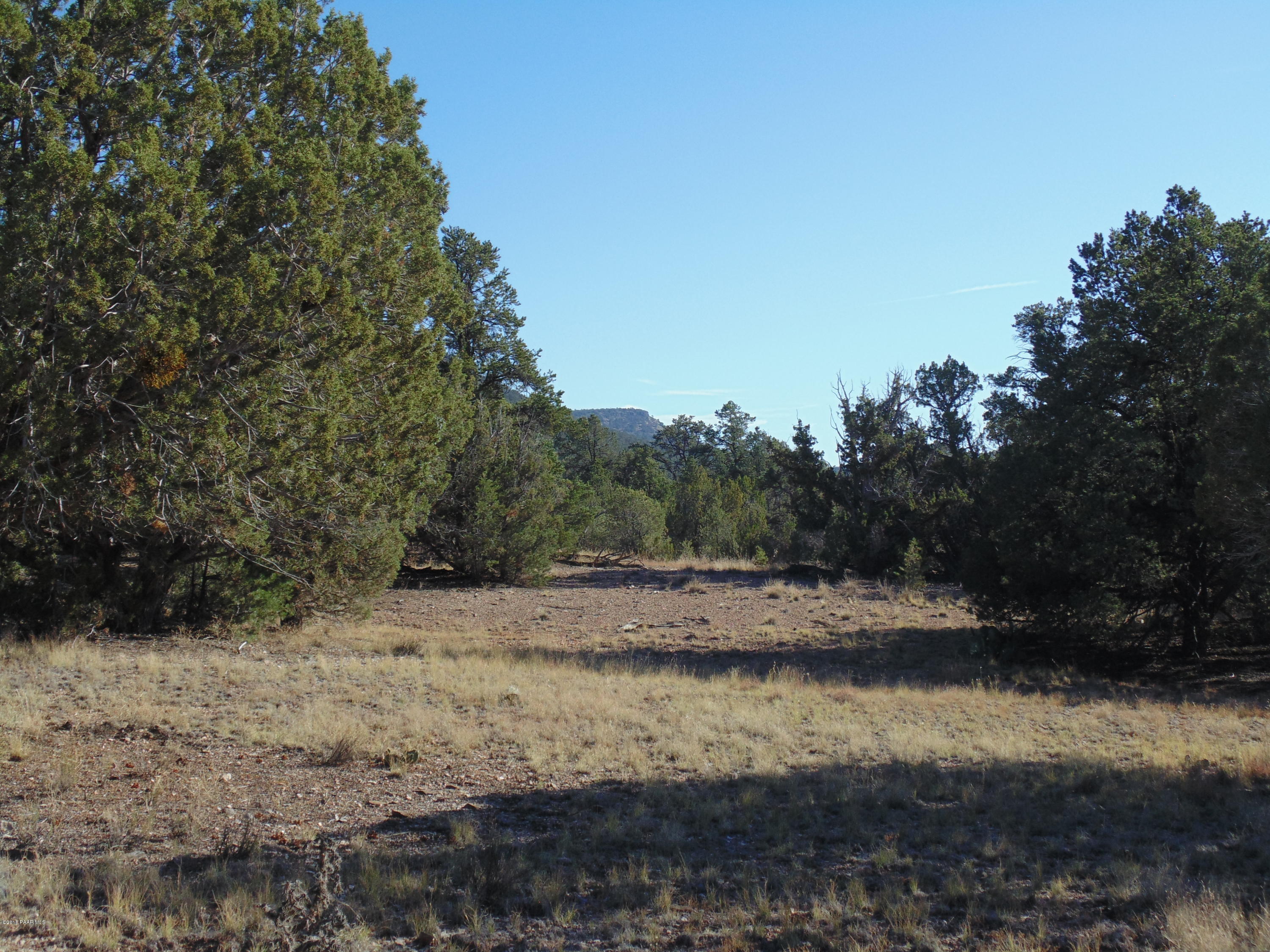 934 Sierra Verde Ranch Seligman, AZ 86337 - Photo 11 of 24 DSC03246