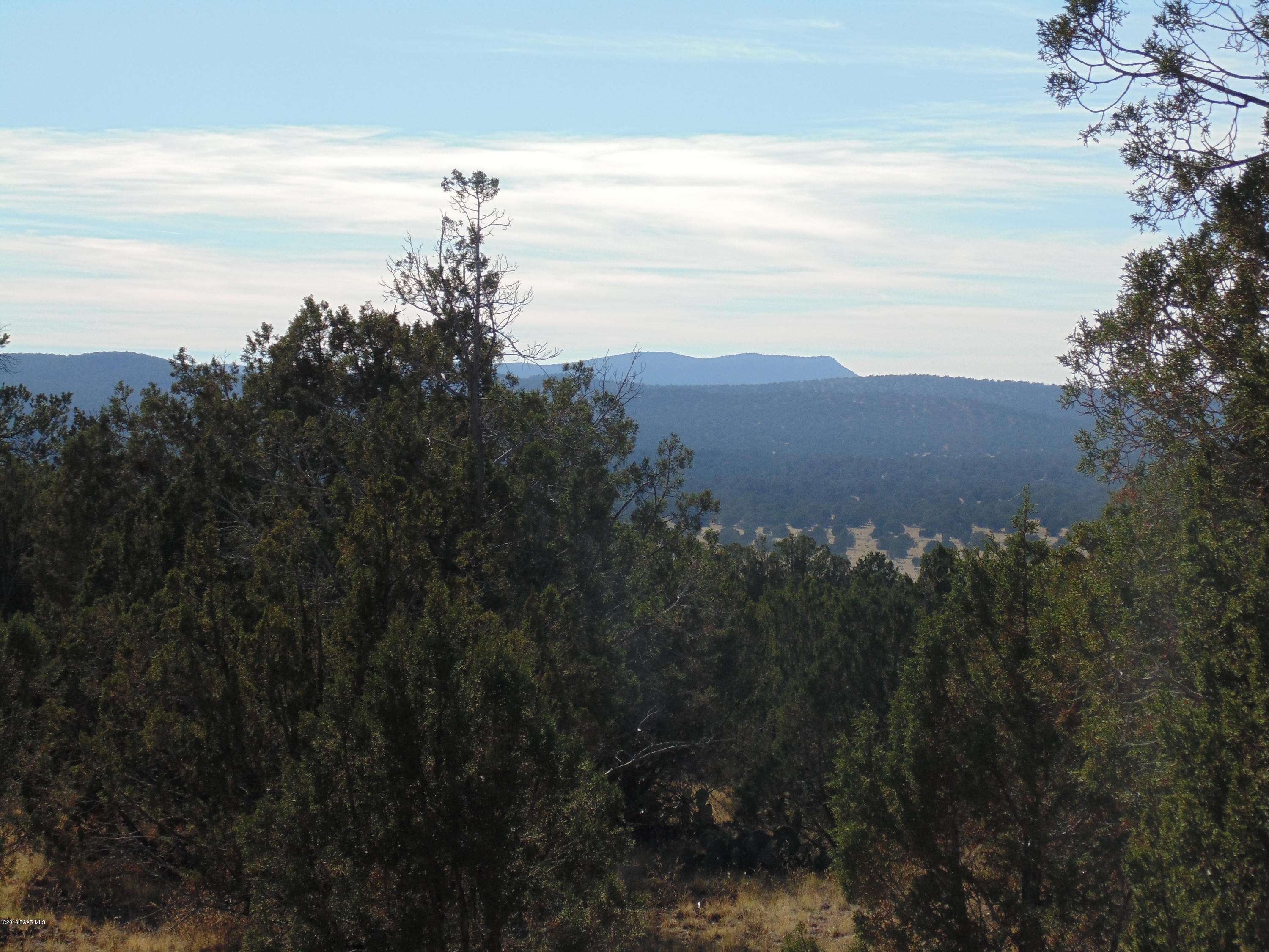934 Sierra Verde Ranch Seligman, AZ 86337 - Photo 12 of 24 DSC03247