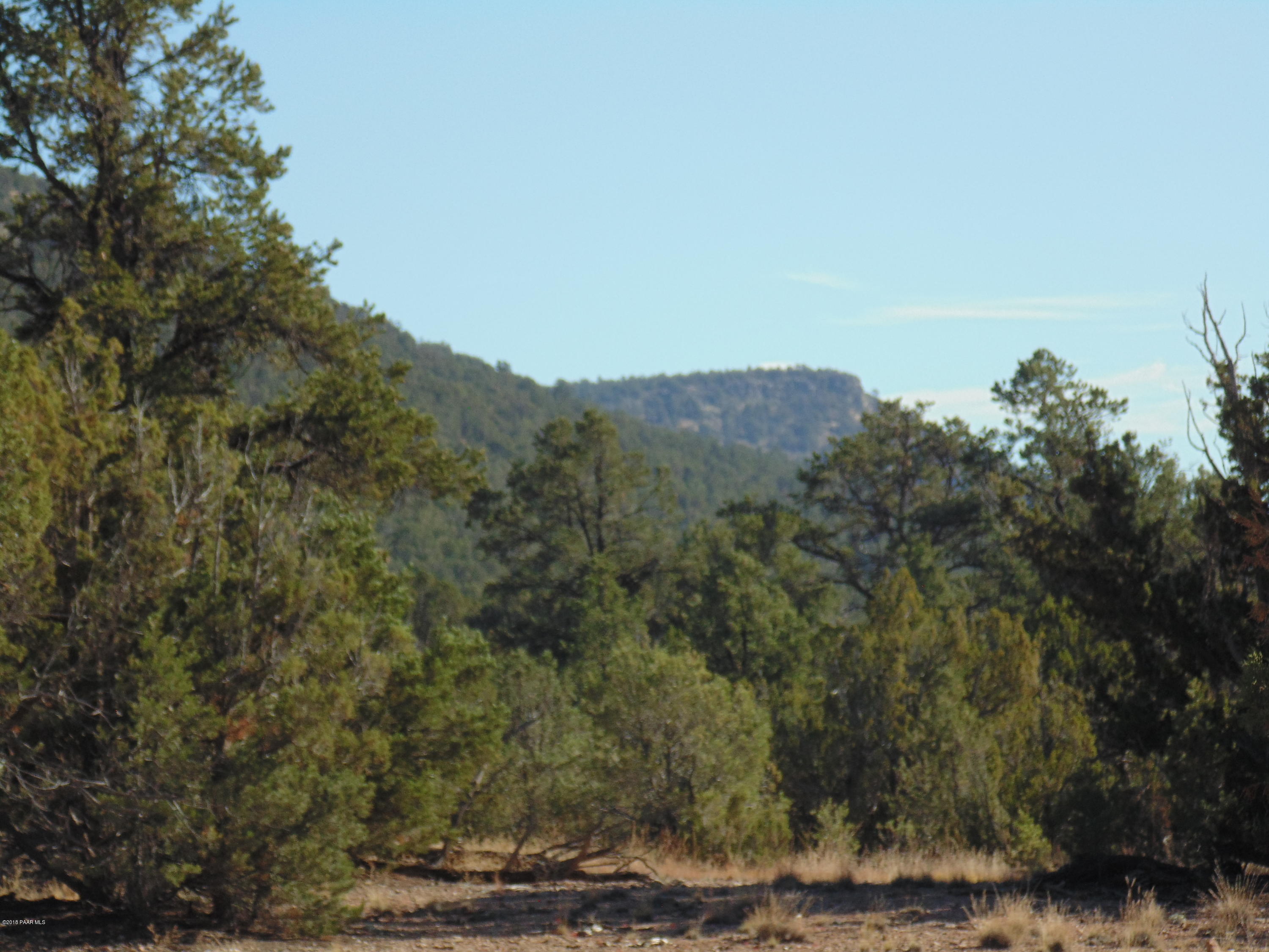 934 Sierra Verde Ranch Seligman, AZ 86337 - Photo 14 of 24 DSC03249