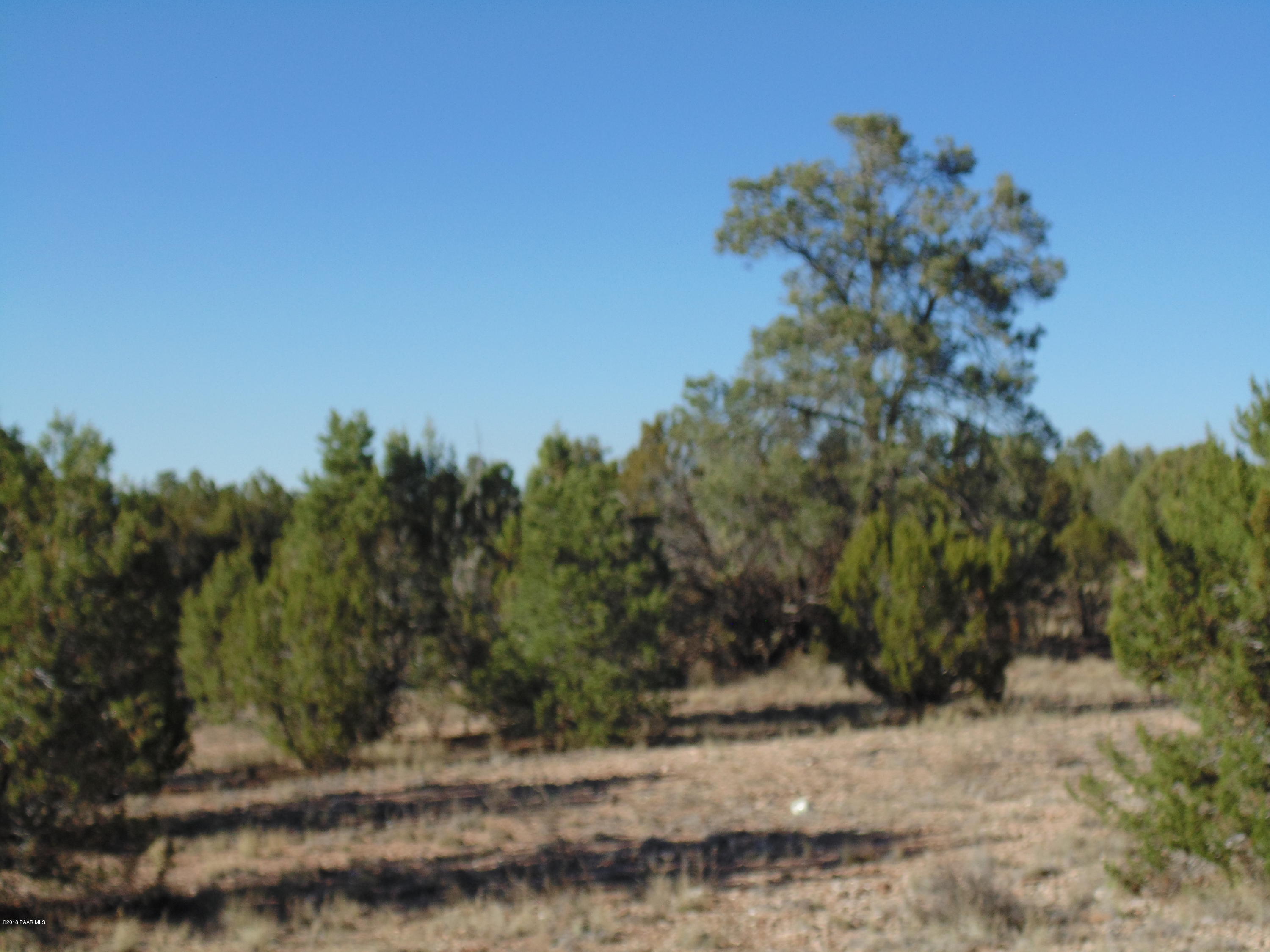 934 Sierra Verde Ranch Seligman, AZ 86337 - Photo 16 of 24 DSC03251