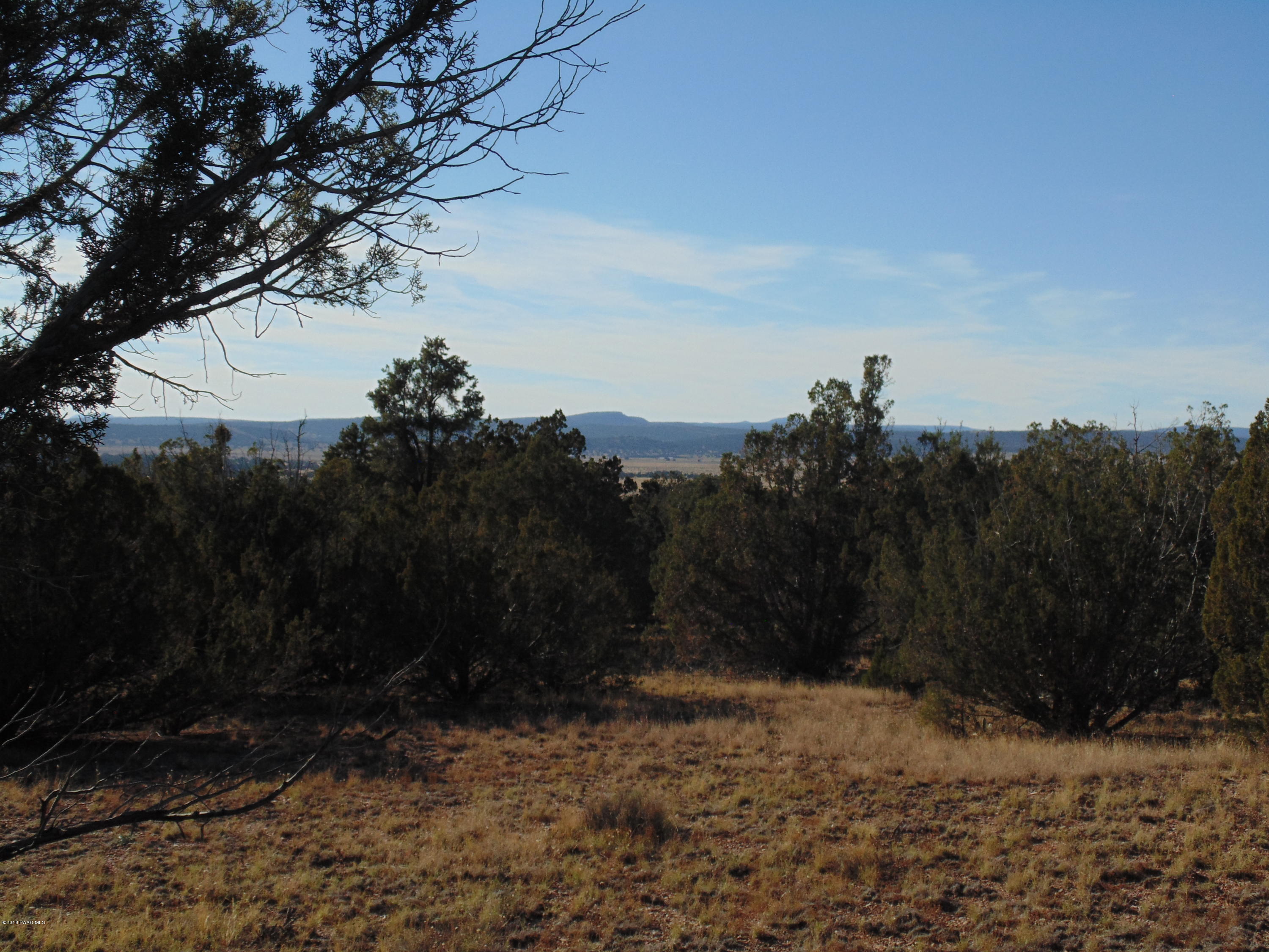 934 Sierra Verde Ranch Seligman, AZ 86337 - Photo 17 of 24 DSC03252