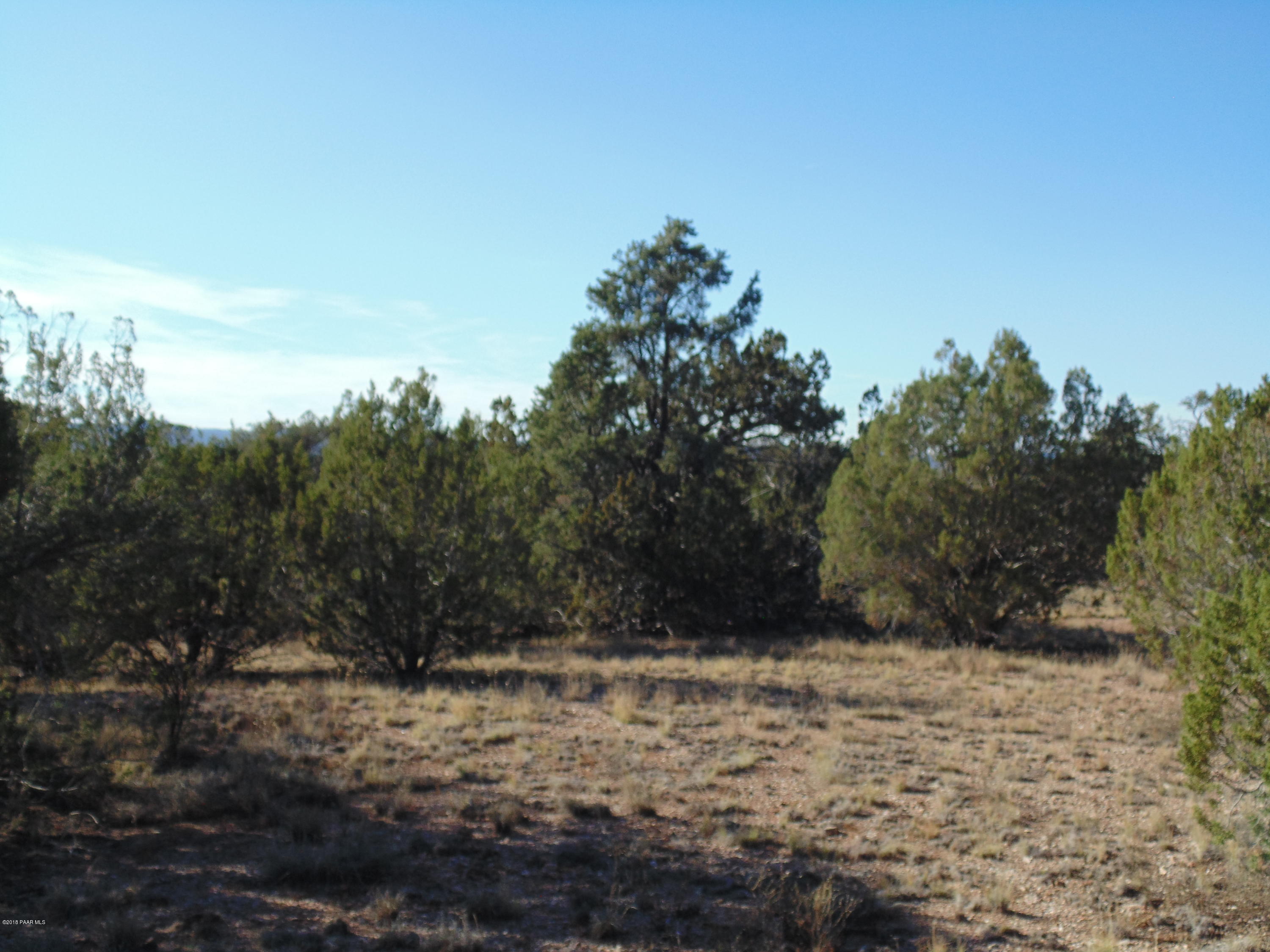 934 Sierra Verde Ranch Seligman, AZ 86337 - Photo 18 of 24 DSC03253