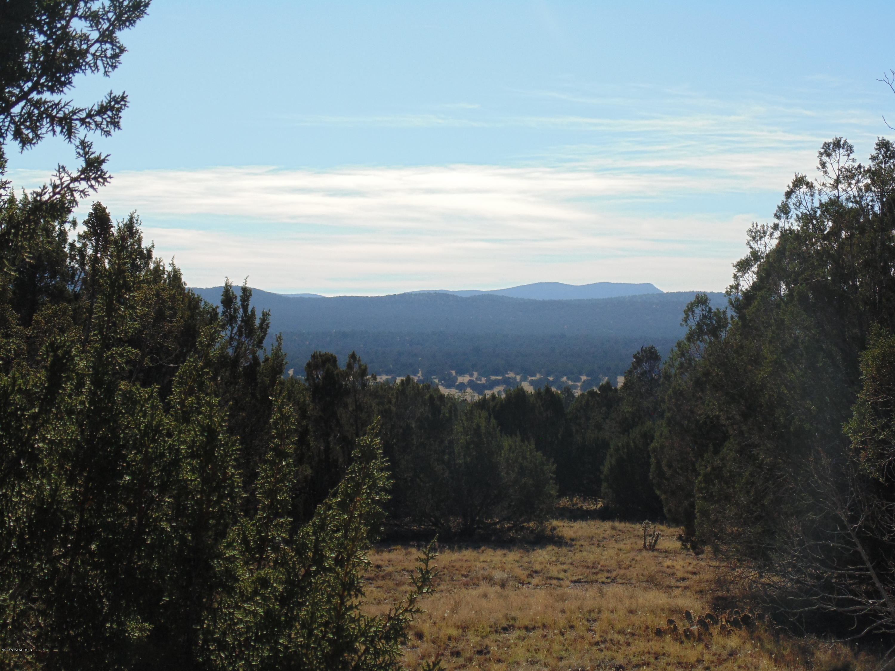 934 Sierra Verde Ranch Seligman, AZ 86337 - Photo 19 of 24 DSC03254