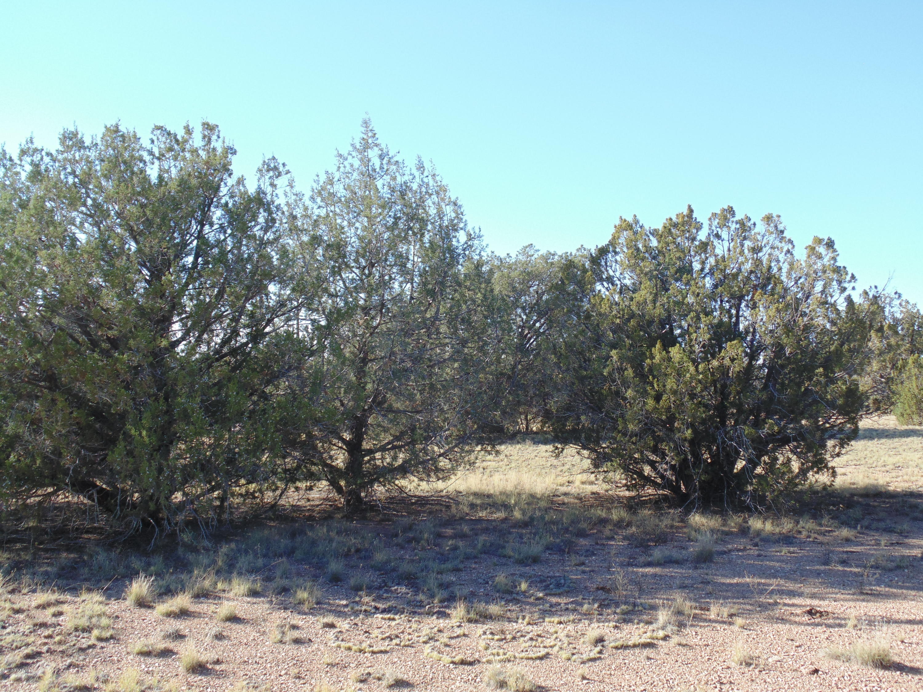 934 Sierra Verde Ranch Seligman, AZ 86337 - Photo 21 of 24 DSC03256