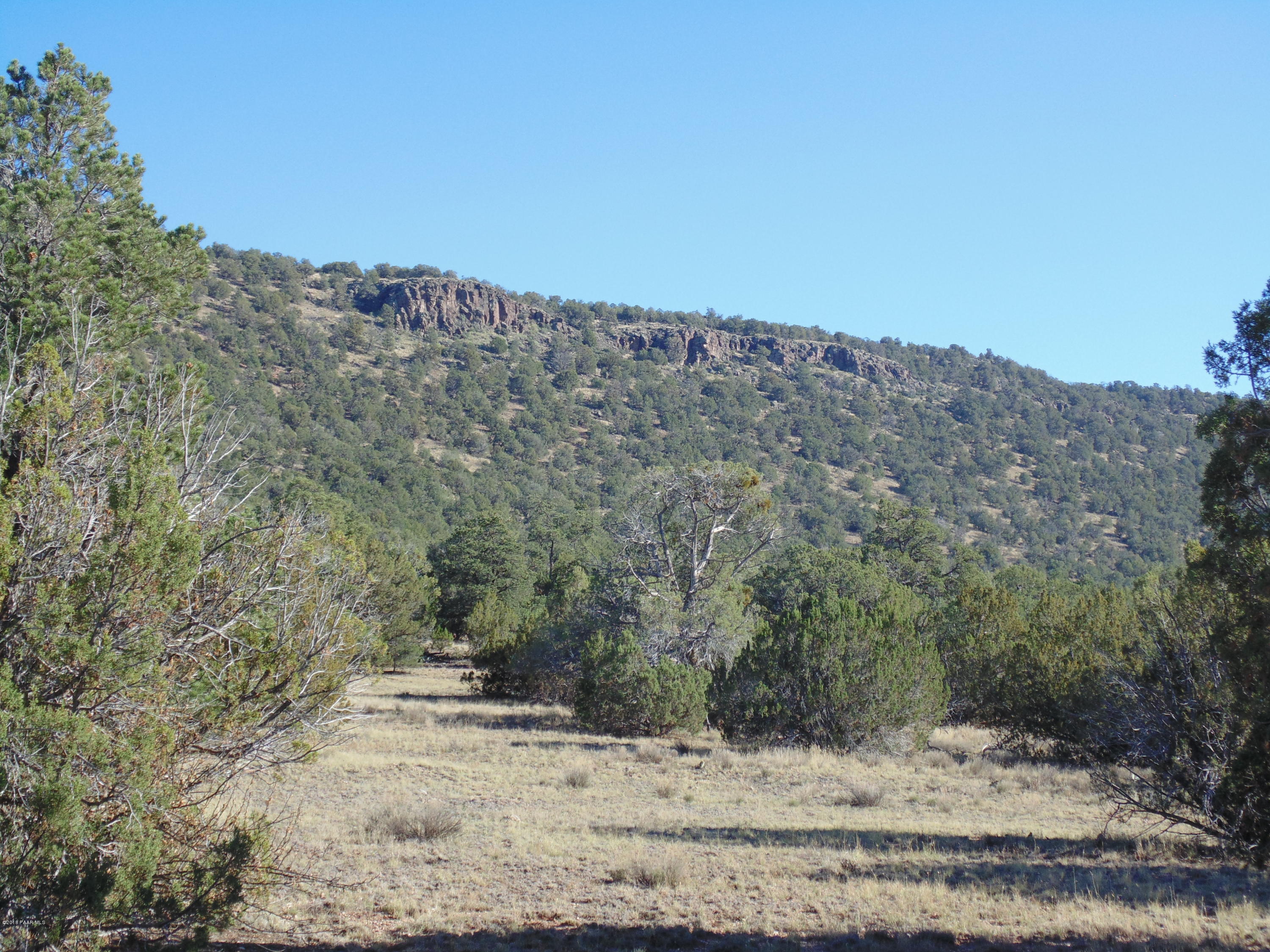 934 Sierra Verde Ranch Seligman, AZ 86337 - Photo 22 of 24 DSC03257