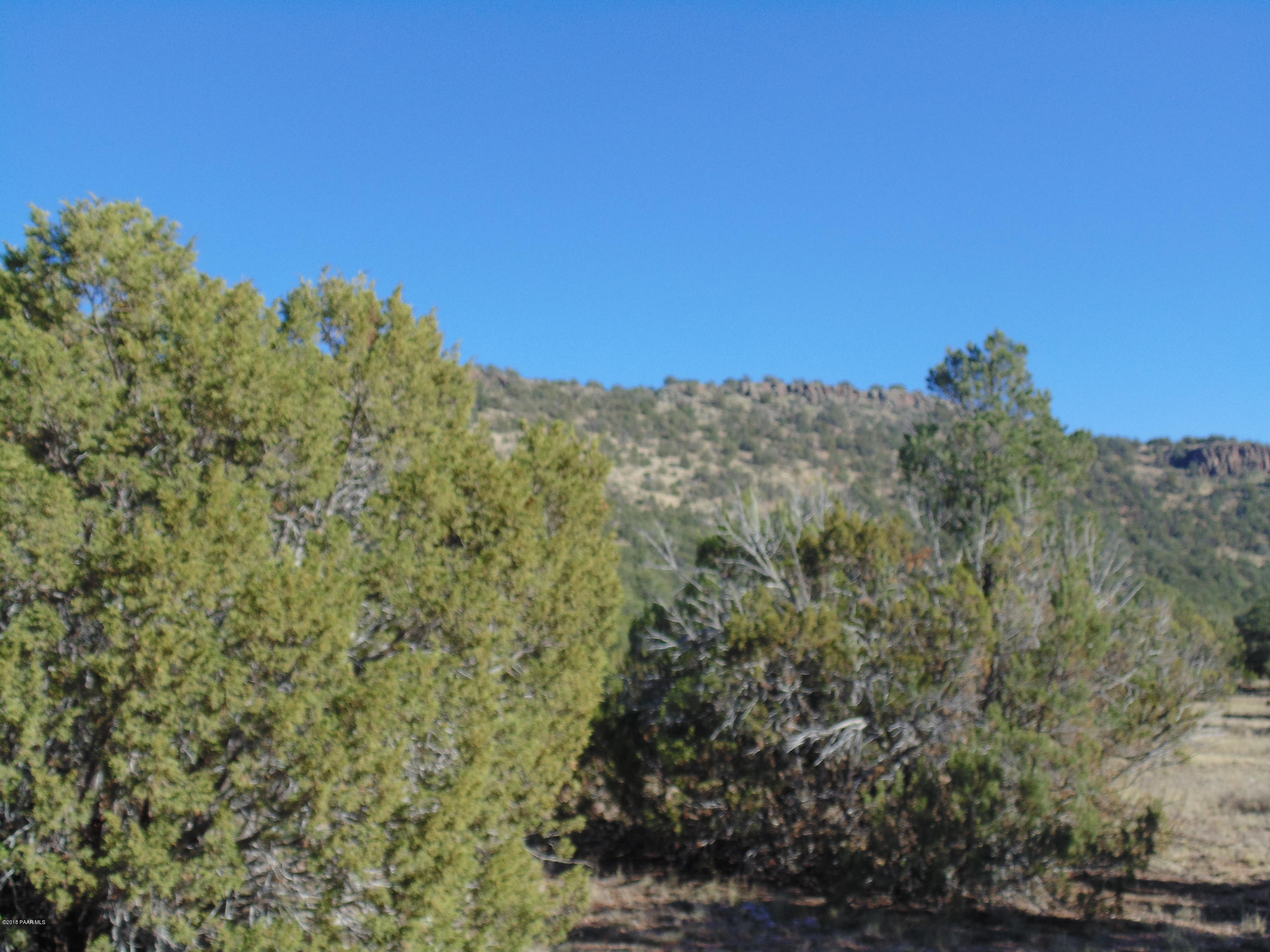 934 Sierra Verde Ranch Seligman, AZ 86337 - Photo 23 of 24 DSC03258