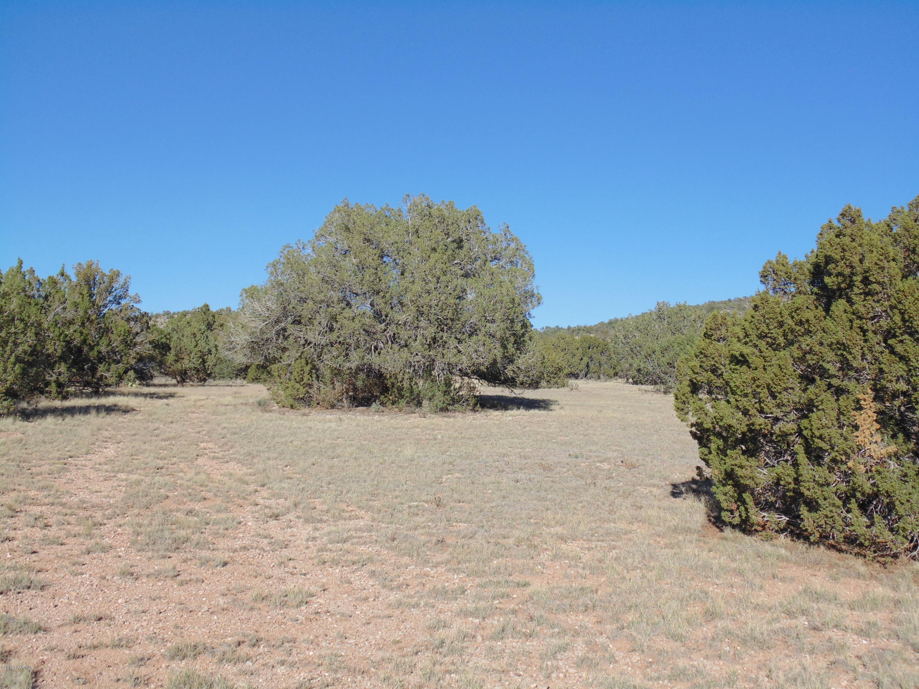 934 Sierra Verde Ranch Seligman, AZ 86337 - Photo 24 of 24 DSC03259