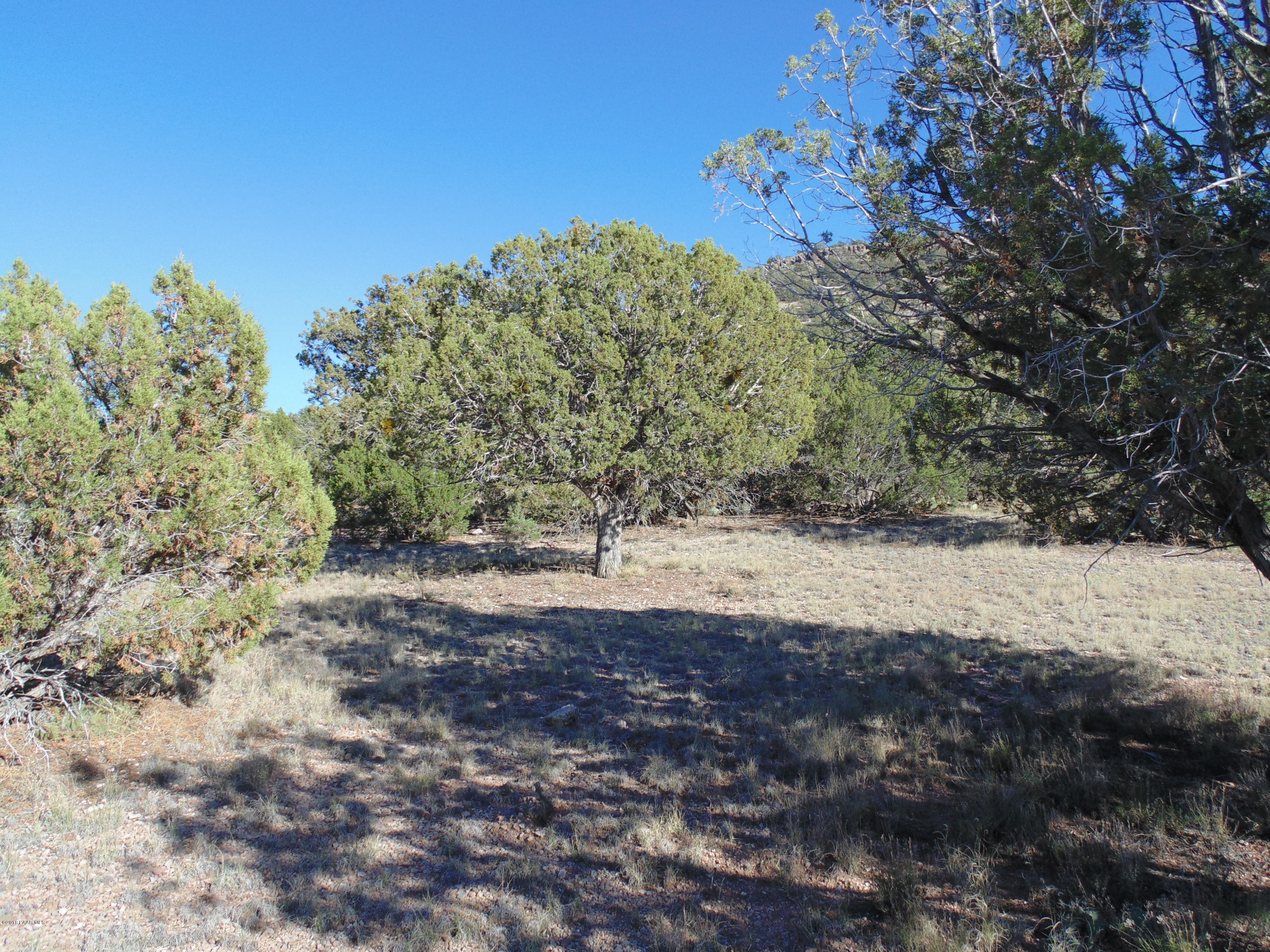 934 Sierra Verde Ranch Seligman, AZ 86337 - Photo 9 of 24 DSC03244