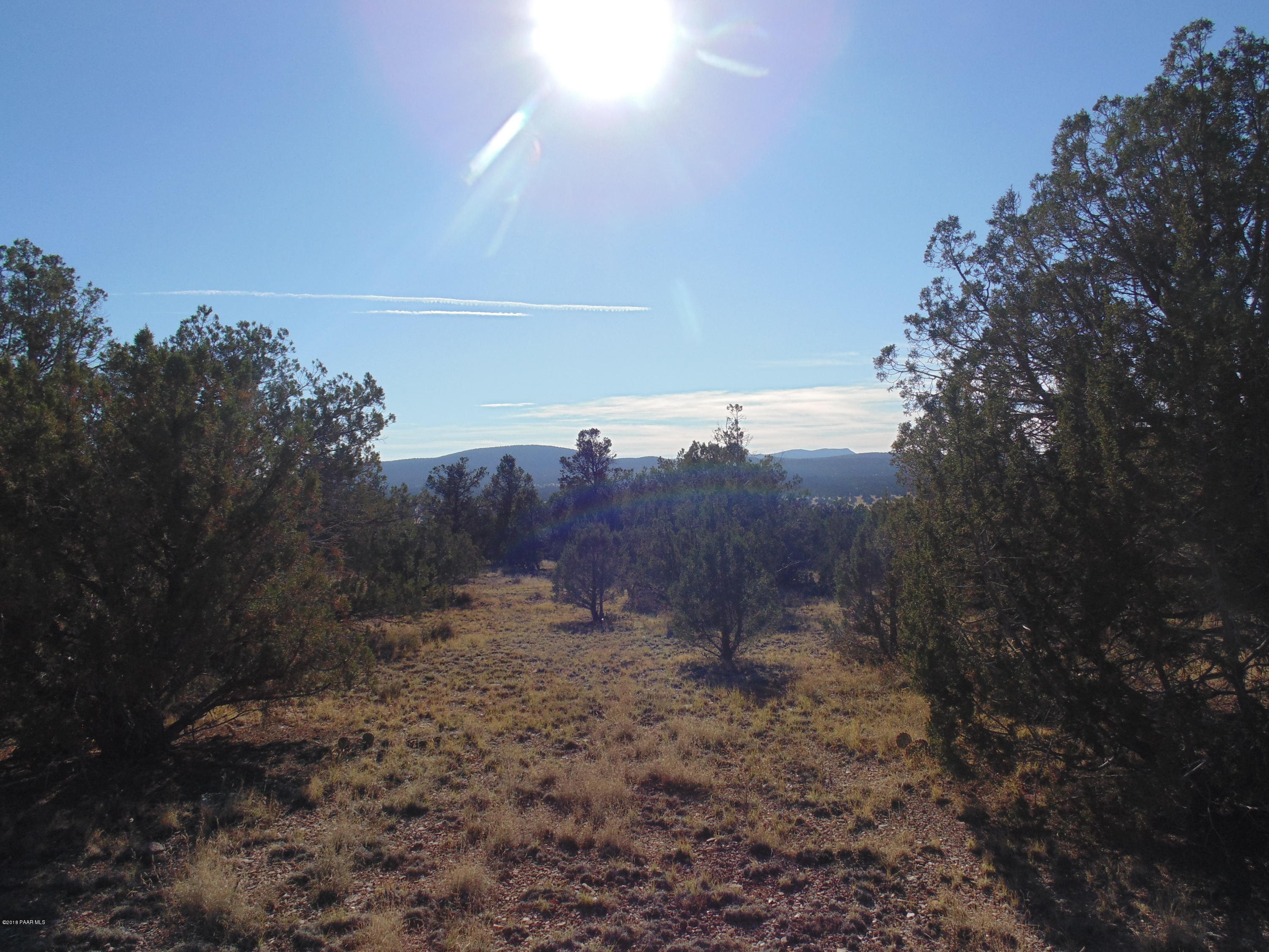 934 Sierra Verde Ranch Seligman, AZ 86337 - Photo 10 of 24 DSC03245