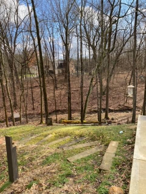8140 Lewis Center Road Galena, OH 43021 - Photo 52 of 57 Gallery Image 52