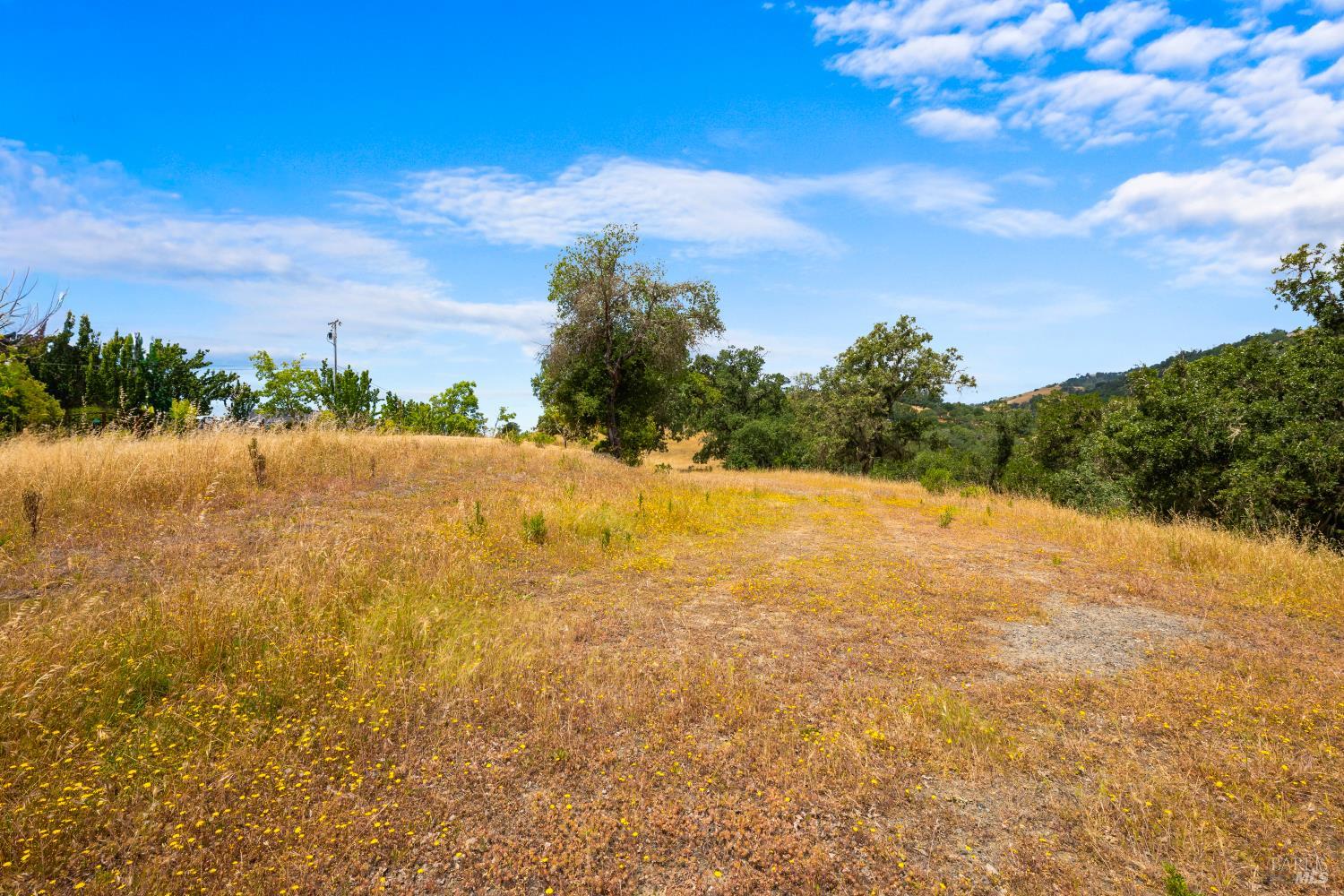 23655 Vineyard Road Geyserville, CA 95441 - Photo 8 of 38