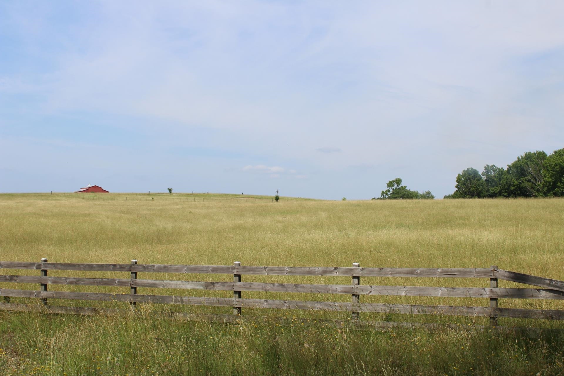 Lot 8 Ted Smith Road Rutherfordton, NC 28139 - Photo 3 of 25