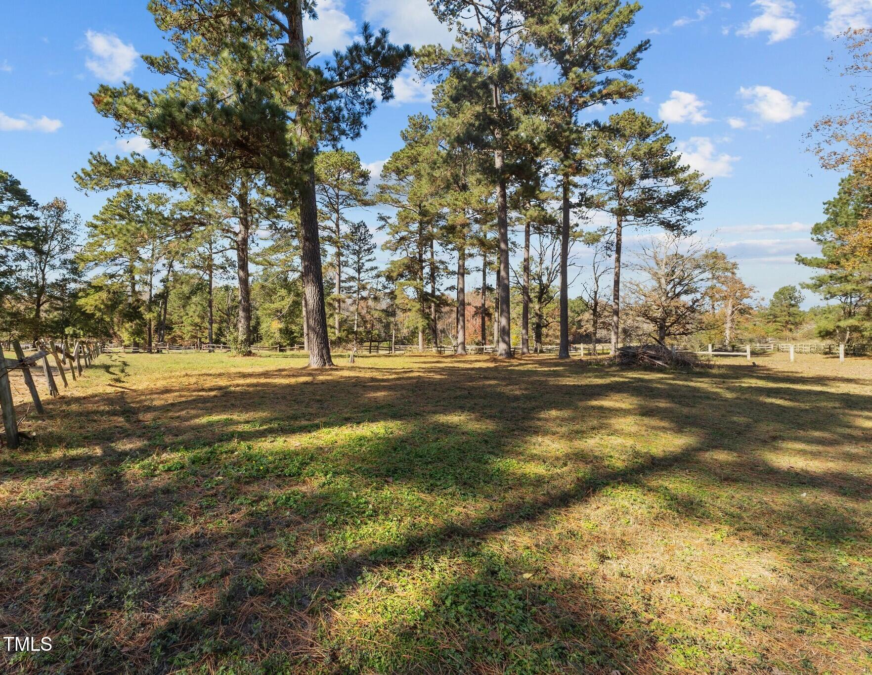 0 Cedar Lane Road Sanford, NC 27332 - Photo 8 of 19 a view of road with large trees