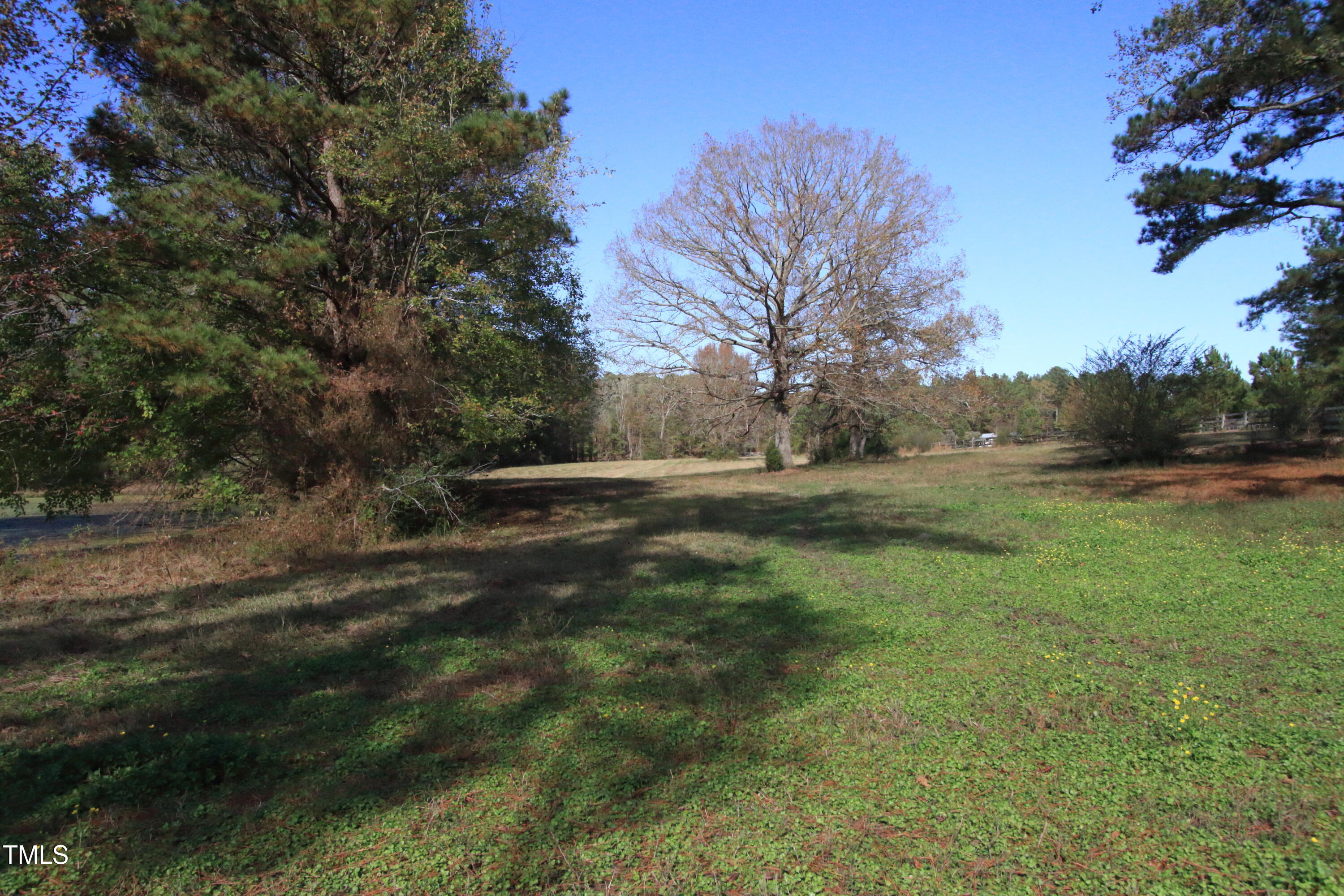 0 Cedar Lane Road Sanford, NC 27332 - Photo 10 of 18 a view of dirt field with trees