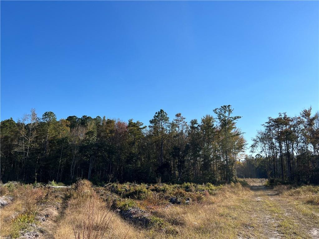 99 Highway 99 Townsend, GA 31331 - Photo 12 of 36