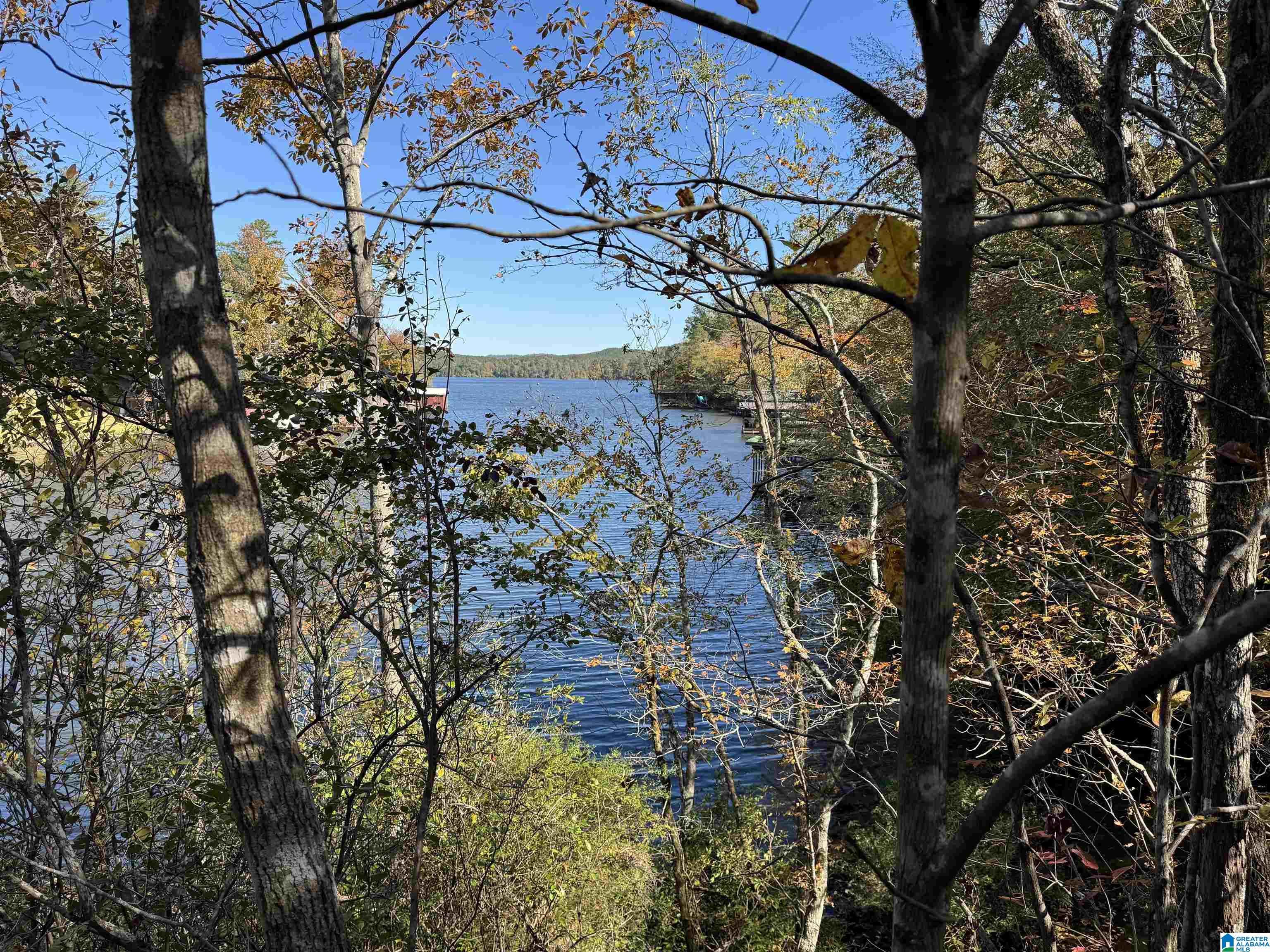 261 County Road Clanton, AL 35046 - Photo 3 of 8
