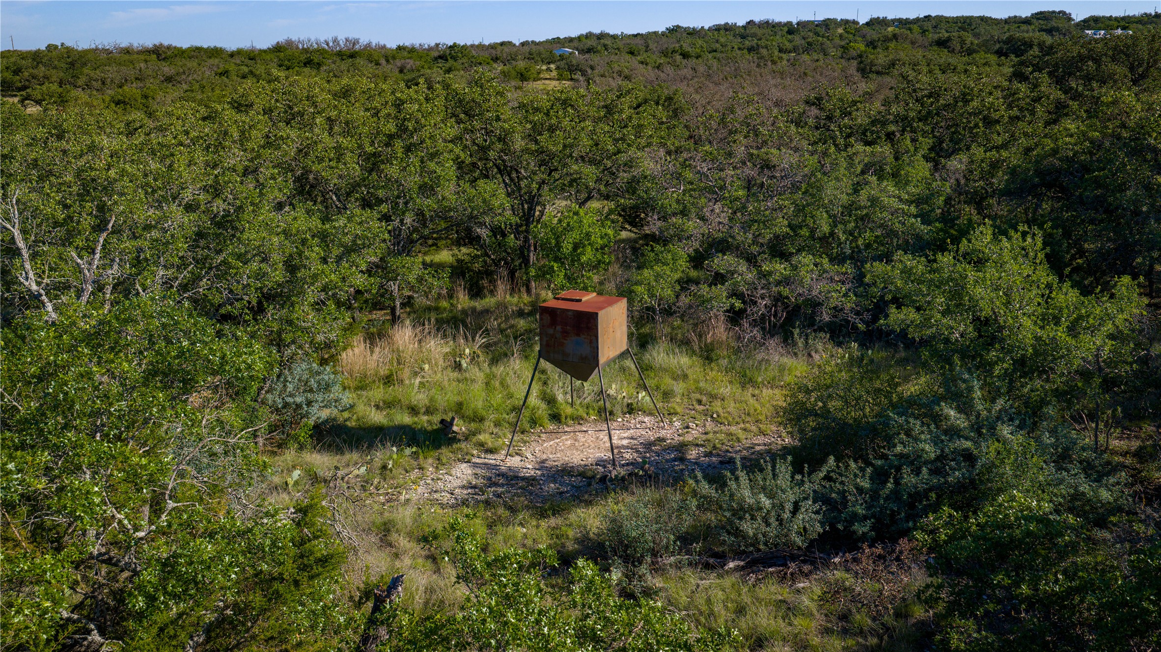 3276 Link Road Doss, TX 78618 - Photo 29 of 35 a view of a green field with lots of bushes