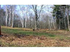 80 Smith Pond Road Enfield, NH 03748 - Photo 3 of 5 Gallery Image 3