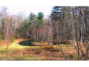 80 Smith Pond Road Enfield, NH 03748 - Photo 5 of 5 Gallery Image 5