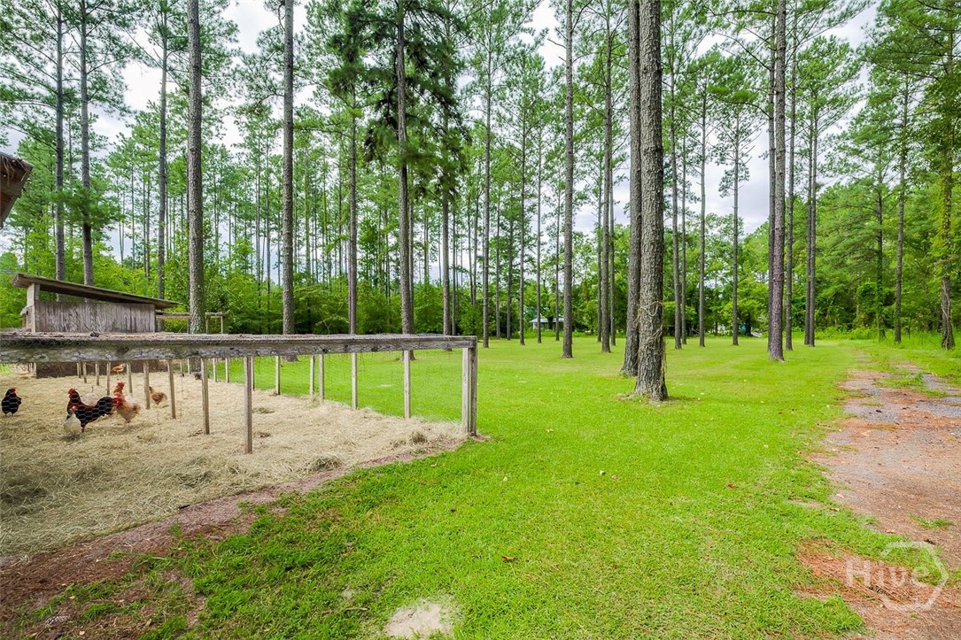 111 Dixie Drive Springfield, GA 31329 - Photo 54 of 57