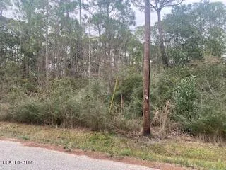 $24,000 | Azalea Ln Pass, Pass Christian, MS 39571