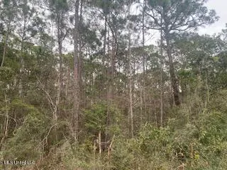 $24,000 | Azalea Ln Pass, Pass Christian, MS 39571