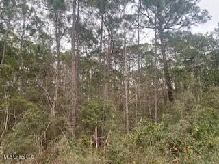 Azalea Ln Pass Pass Christian, MS 39571 - Photo 2 of 4 IMG_6149