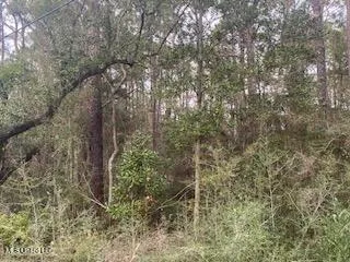 $24,000 | Azalea Ln Pass, Pass Christian, MS 39571