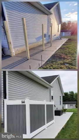 a view of a lush green forest
