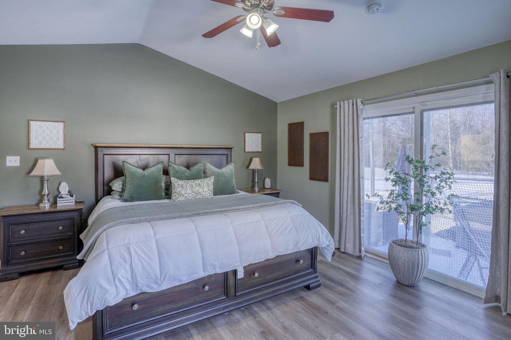 247 Cider Run Magnolia, DE 19962 - Photo 26 of 48 Owner's Suite- Sliders to Rear/Hot Tub