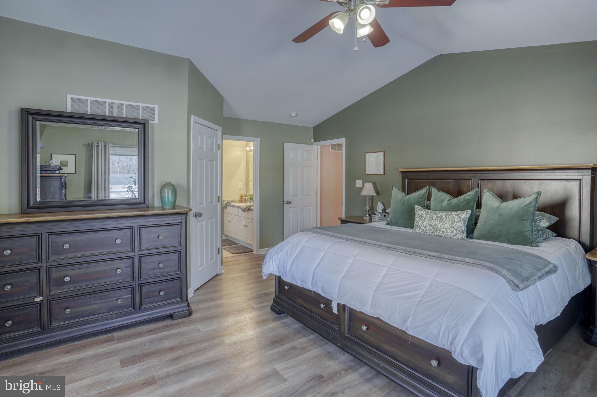 247 Cider Run Magnolia, DE 19962 - Photo 27 of 48 Owner's Suite