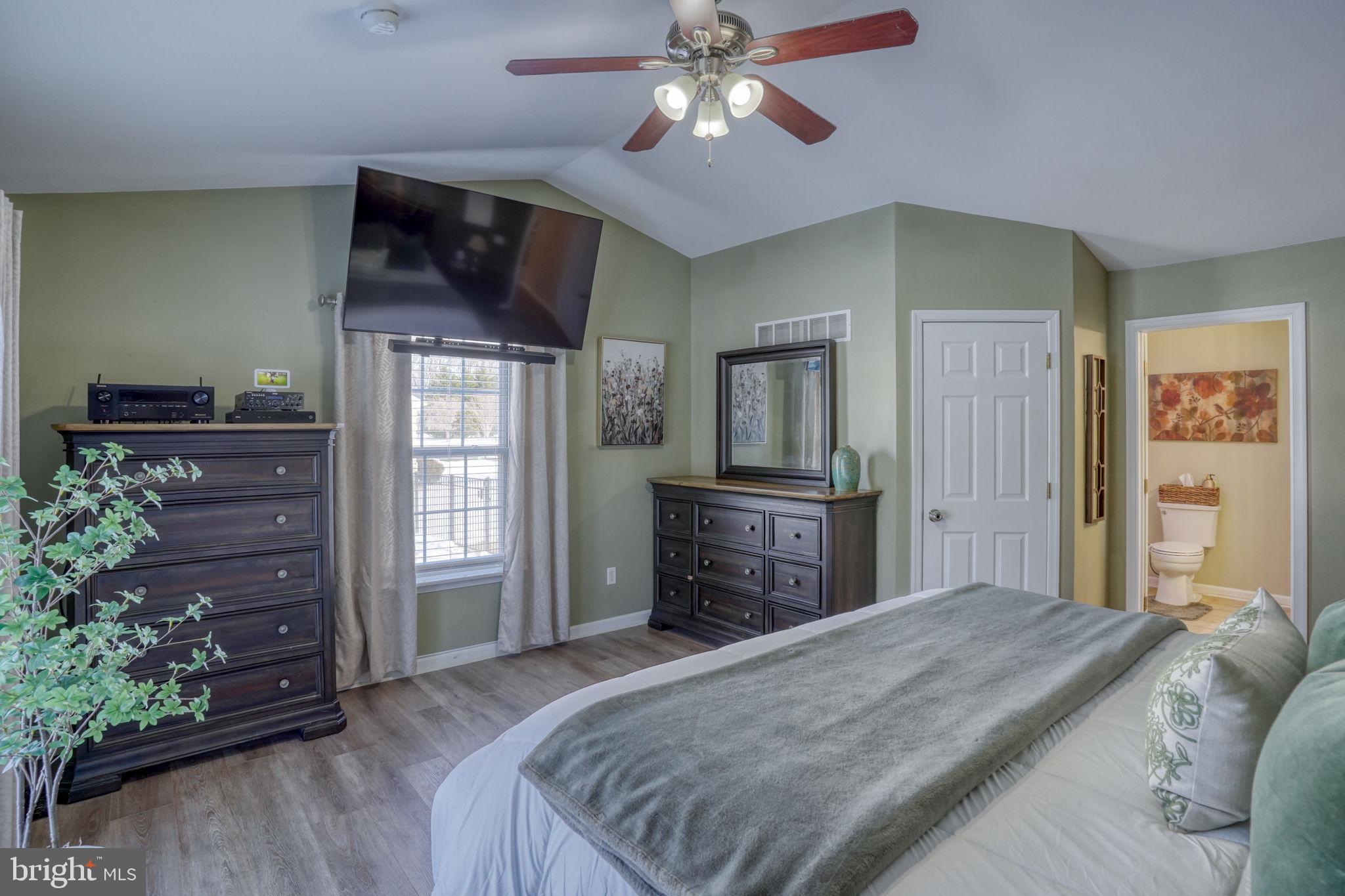 247 Cider Run Magnolia, DE 19962 - Photo 28 of 48 Owner's Suite