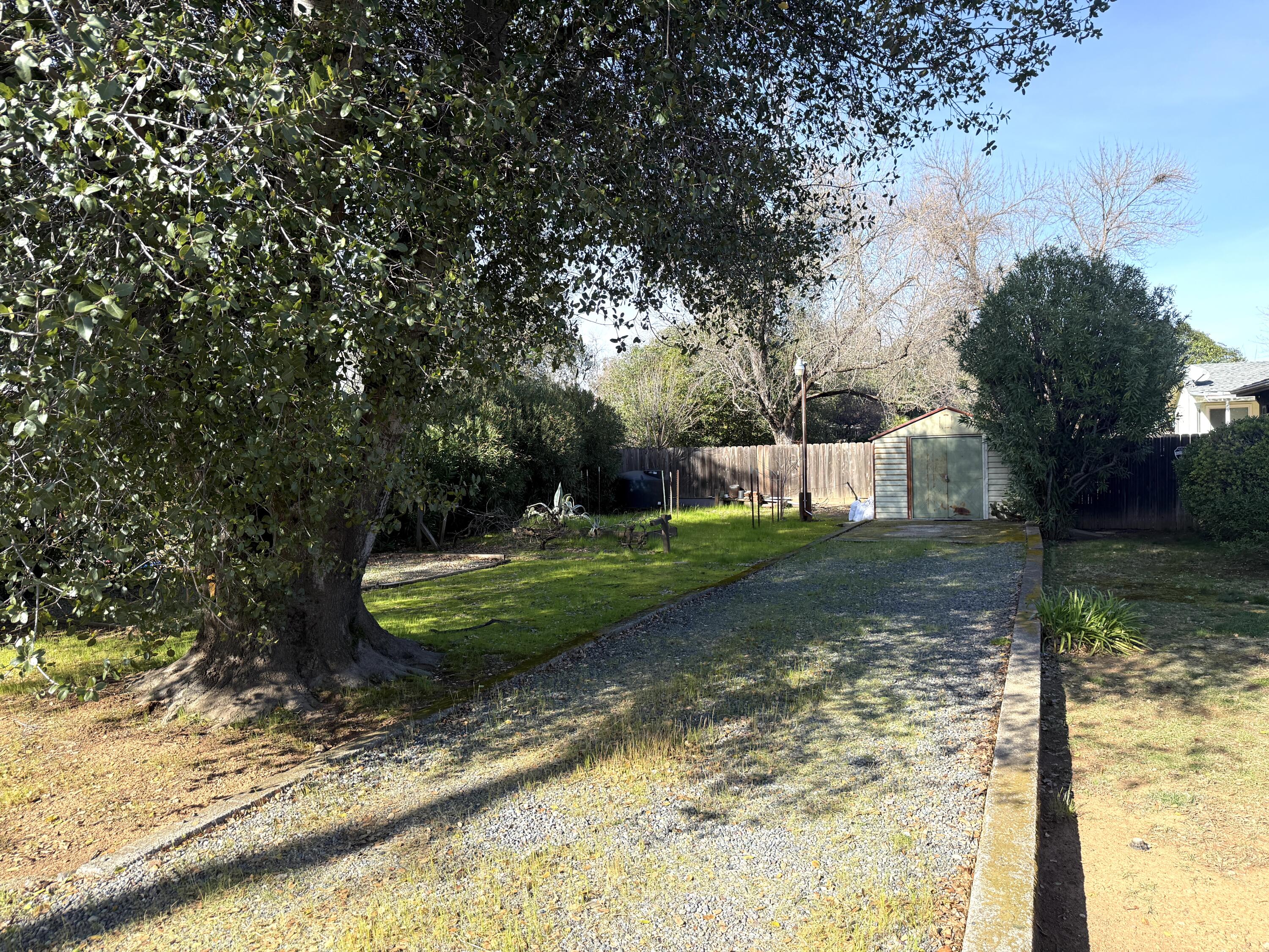 918 Parsons Drive Redding, CA 96002 - Photo 29 of 31 a view of a backyard with large trees