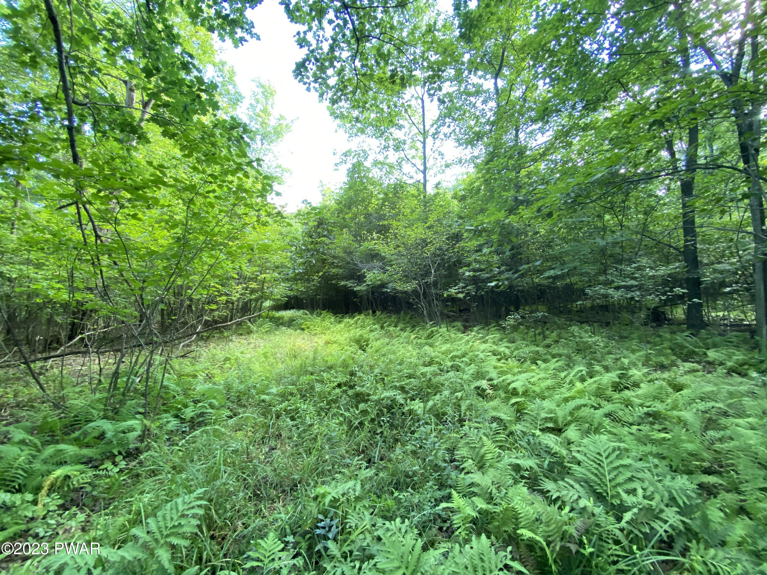 35048 Archbald Mountain Road Lake Ariel, PA 18436 - Photo 3 of 7