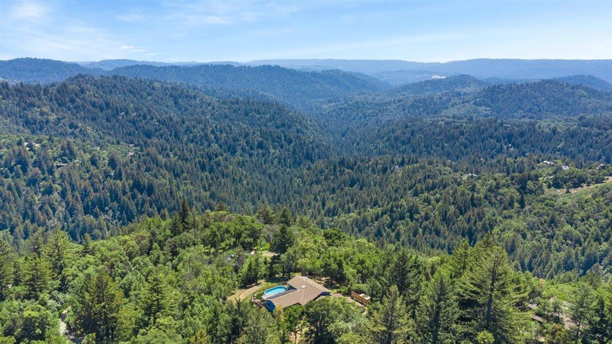 16300 Old Ranch Road Los Gatos, CA 95033 - Photo 24 of 26 a view of a lush green forest with trees in the background