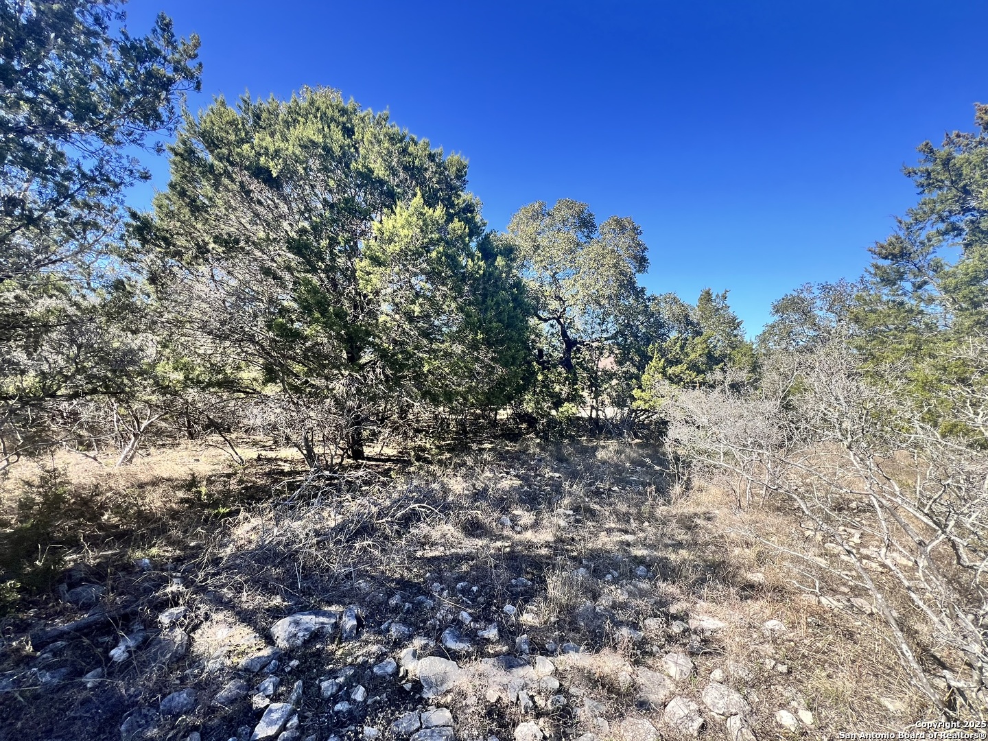 422 Eider Cove Spring Branch, TX 78070 - Photo 9 of 11 a view of a tree with a tree in the background