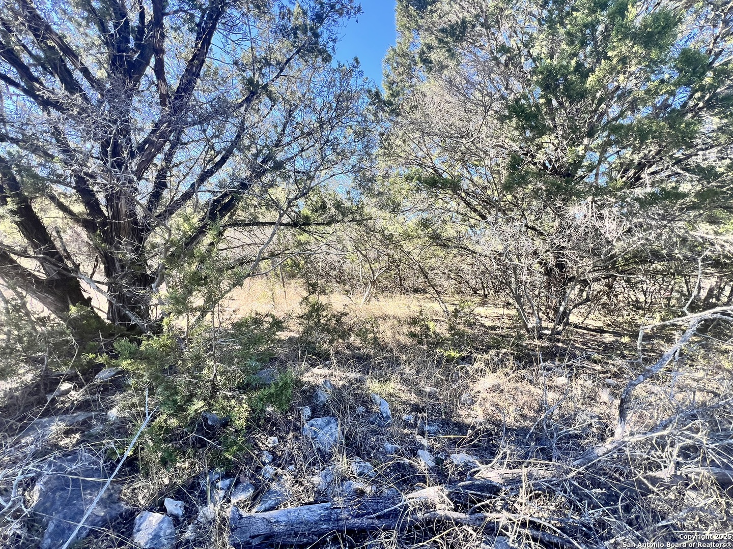 422 Eider Cove Spring Branch, TX 78070 - Photo 10 of 11