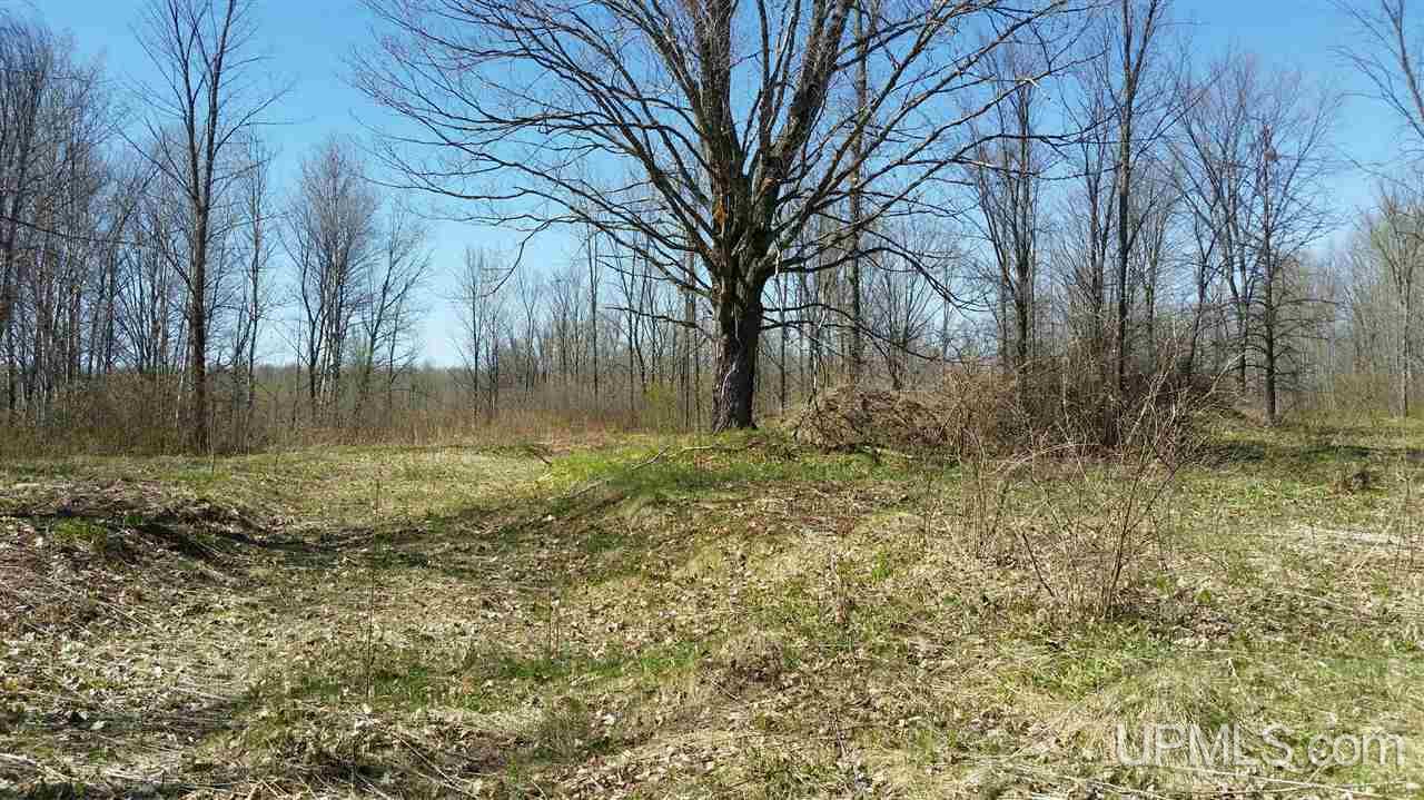 70 Long Lake Long Lake, WI 54542 - Photo 13 of 16