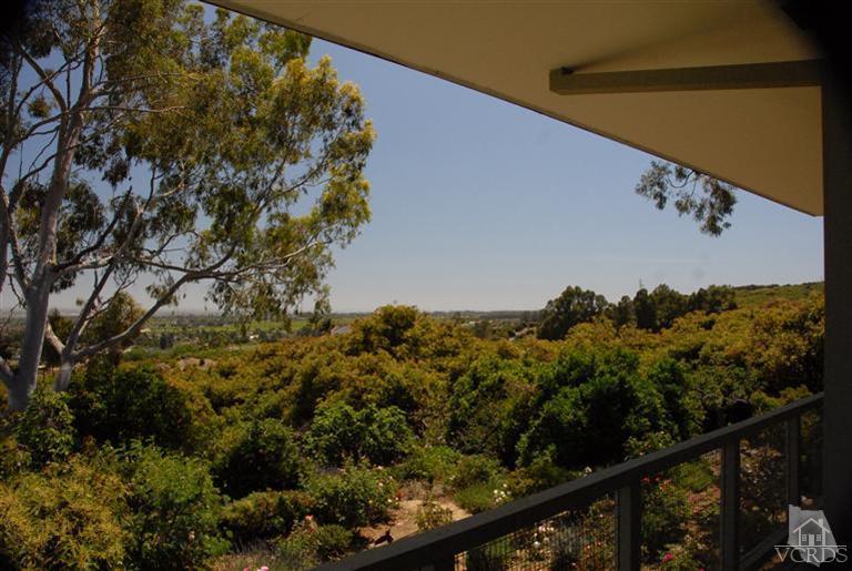 11025 Foothill Road Santa Paula, CA 93060 - Photo 4 of 18 Additional Photo