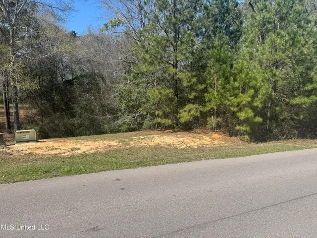 $8,000 | 0 Cedar Wood Drive, Perkinston, MS 39573