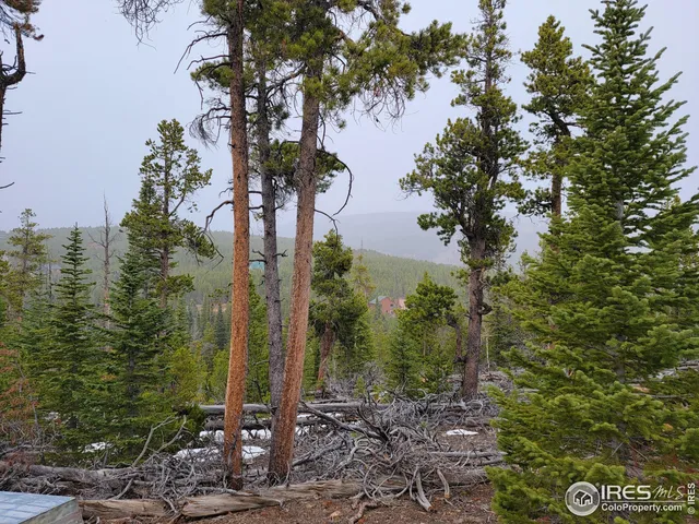 $95,000 | 50 Carrier Way, Red Feather Lakes, CO 80545