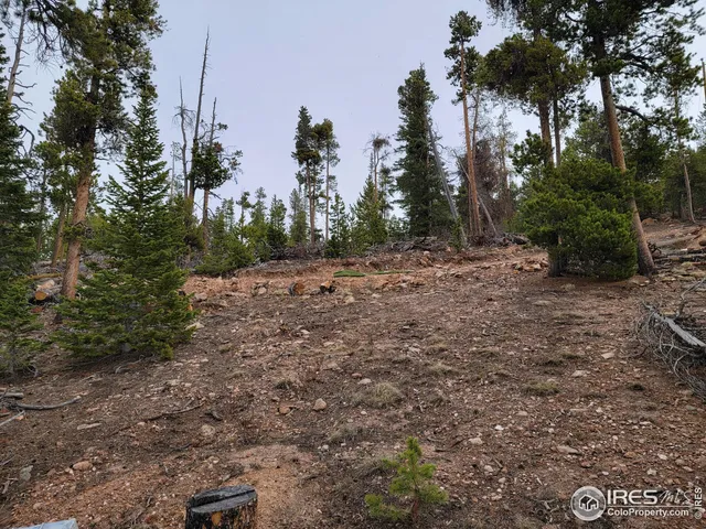 $95,000 | 50 Carrier Way, Red Feather Lakes, CO 80545