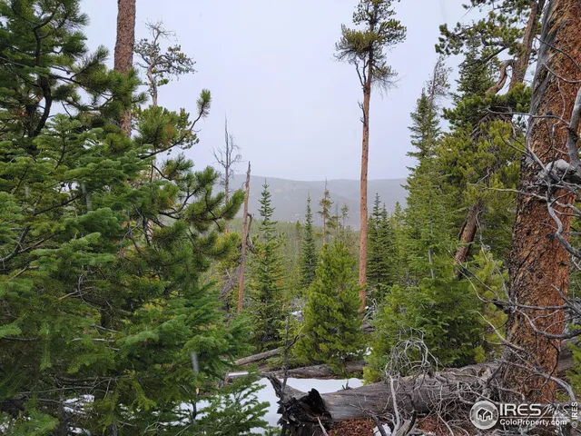 $95,000 | 50 Carrier Way, Red Feather Lakes, CO 80545