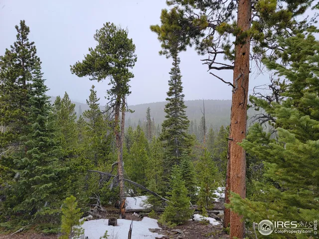 $95,000 | 50 Carrier Way, Red Feather Lakes, CO 80545