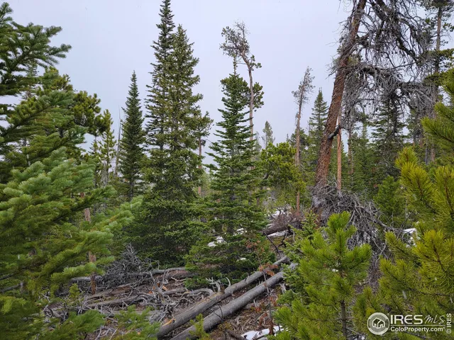 $95,000 | 50 Carrier Way, Red Feather Lakes, CO 80545