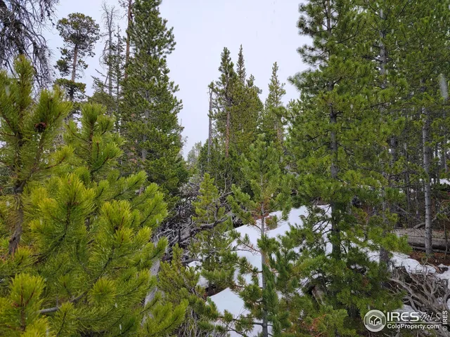 $95,000 | 50 Carrier Way, Red Feather Lakes, CO 80545