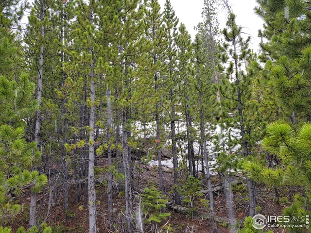 $95,000 | 50 Carrier Way, Red Feather Lakes, CO 80545