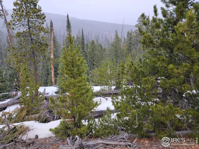 $95,000 | 50 Carrier Way, Red Feather Lakes, CO 80545