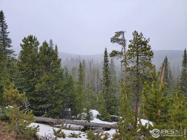 $95,000 | 50 Carrier Way, Red Feather Lakes, CO 80545
